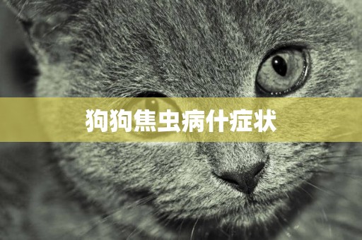 狗狗焦蟲病什癥狀
