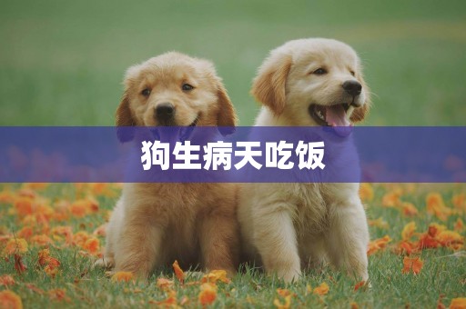 狗生病天吃飯