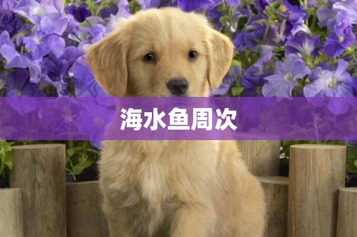 海水魚周次