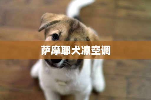 薩摩耶犬涼空調