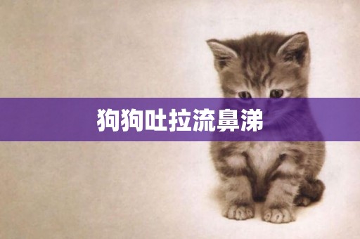 狗狗吐拉流鼻涕