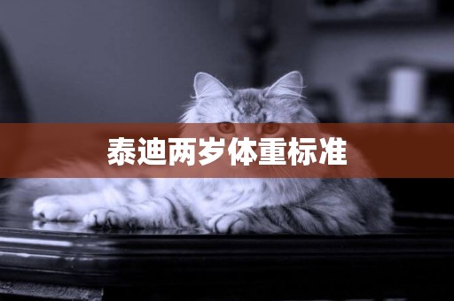 泰迪兩歲體重標準