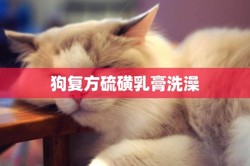 狗復方硫磺乳膏洗澡