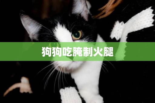 狗狗吃腌制火腿
