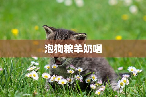 泡狗糧羊奶喝
