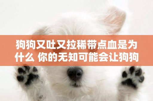 狗狗又吐又拉稀帶點血是為什么 你的無知可能會讓狗狗嗝屁