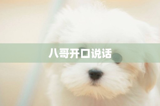 八哥開口說話