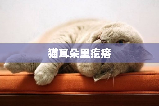 貓耳朵里疙瘩