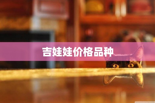 吉娃娃價格品種