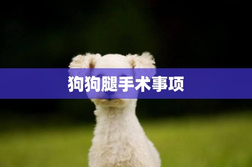 狗狗腿手術事項