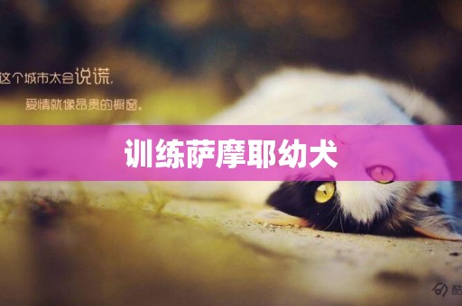 訓練薩摩耶幼犬
