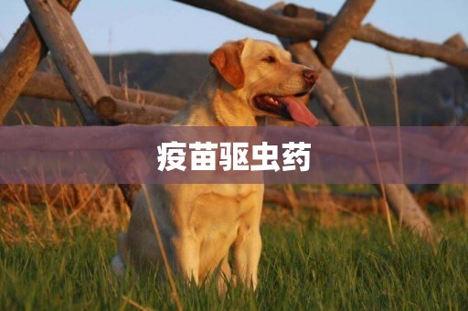 疫苗驅蟲藥