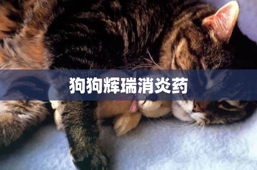 狗狗輝瑞消炎藥
