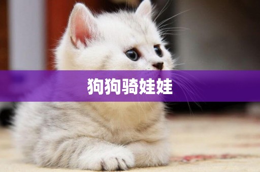 狗狗騎娃娃