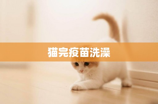 貓完疫苗洗澡