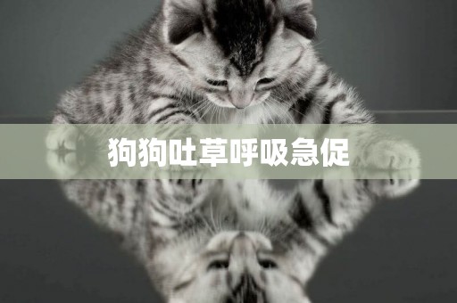 狗狗吐草呼吸急促
