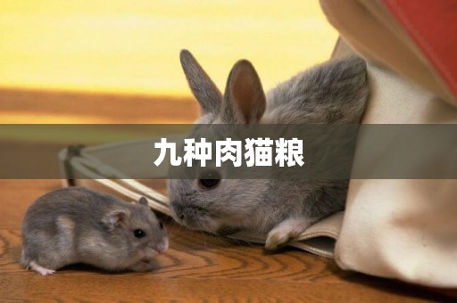 九種肉貓糧