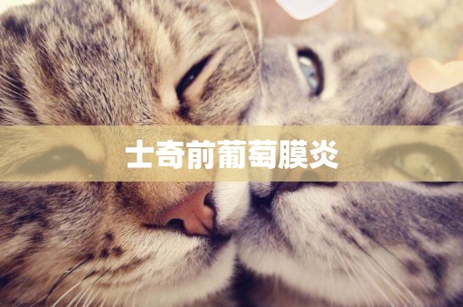 士奇前葡萄膜炎