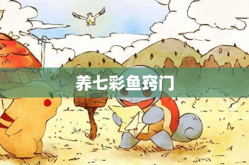 養七彩魚竅門