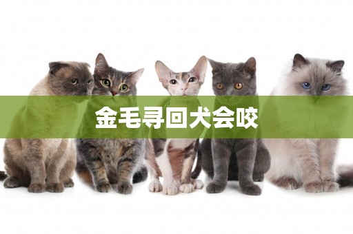 金毛尋回犬會咬