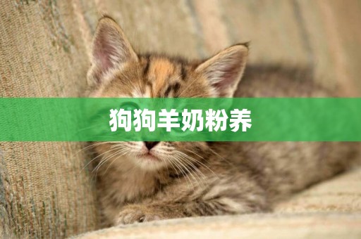 狗狗羊奶粉養