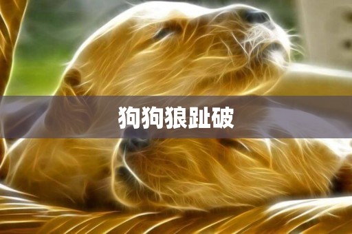 狗狗狼趾破