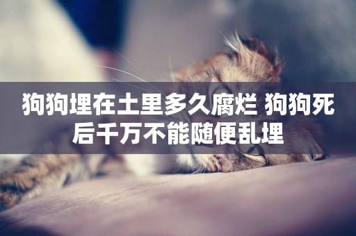 狗狗埋在土里多久腐爛 狗狗死后千萬不能隨便亂埋
