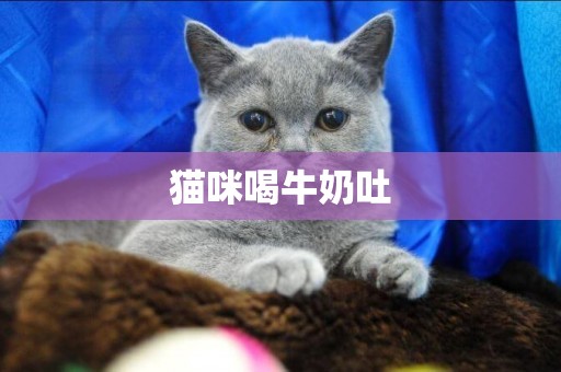 貓咪喝牛奶吐