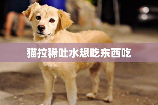 貓拉稀吐水想吃東西吃