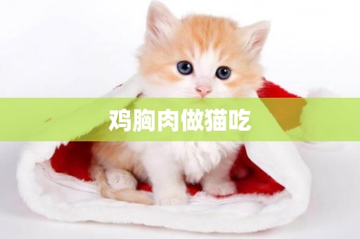 雞胸肉做貓吃