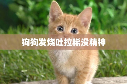 狗狗發燒吐拉稀沒精神