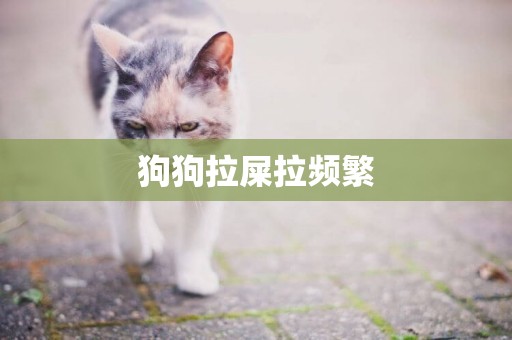 狗狗拉屎拉頻繁