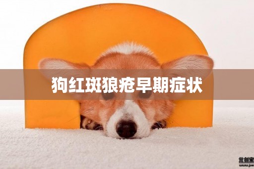 狗紅斑狼瘡早期癥狀