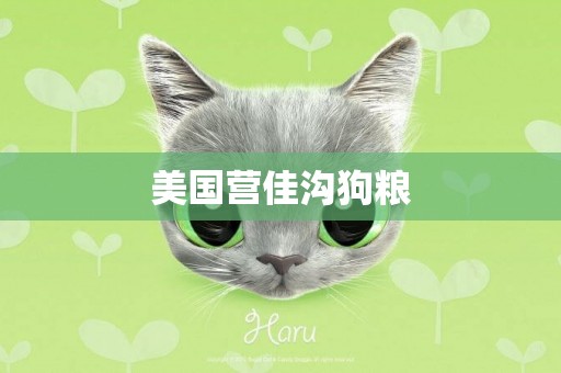 美國營佳溝狗糧