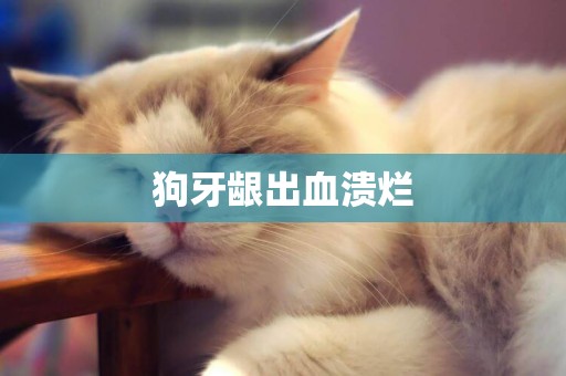 狗牙齦出血潰爛