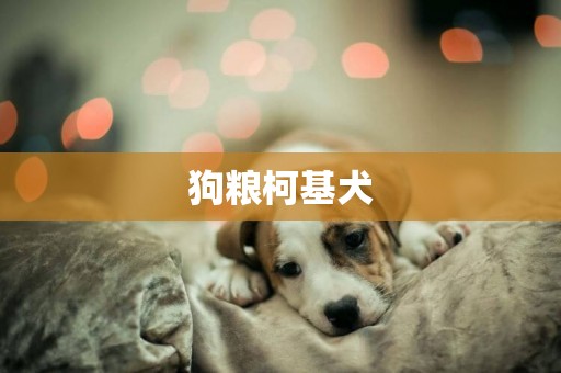 狗糧柯基犬