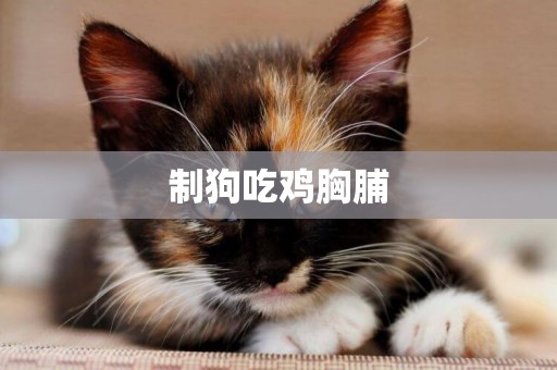 制狗吃雞胸脯