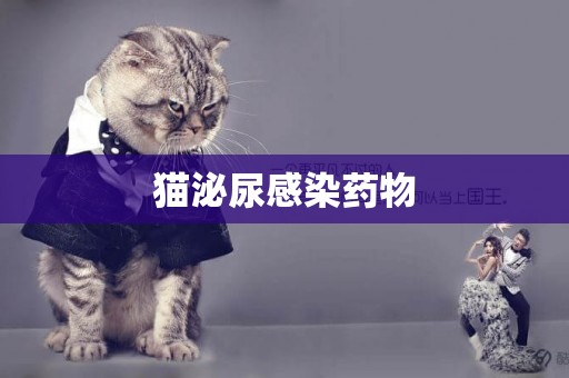 貓泌尿感染藥物