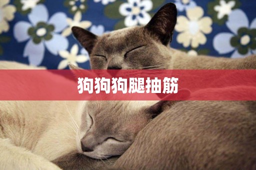 狗狗狗腿抽筋