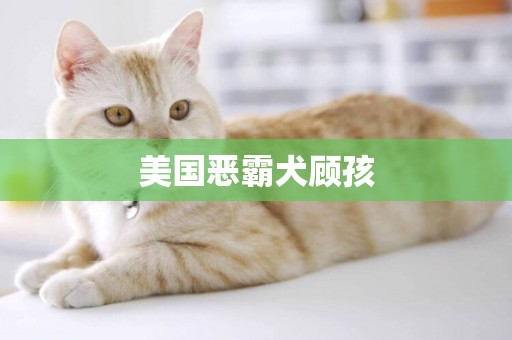 美國惡霸犬顧孩