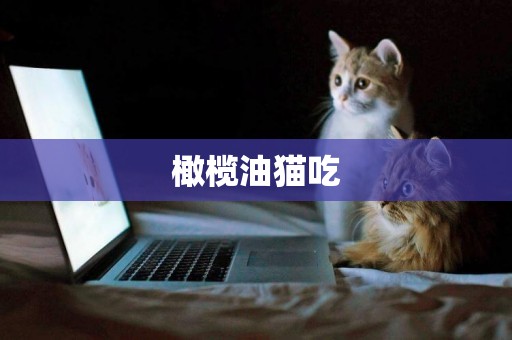 橄欖油貓吃