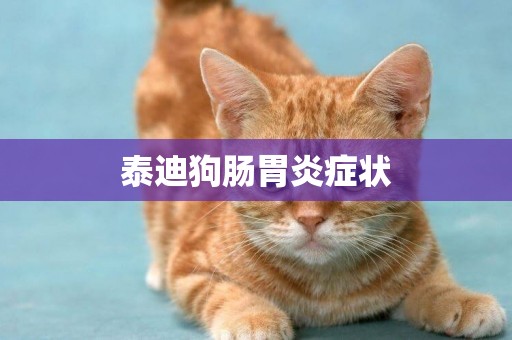 泰迪狗腸胃炎癥狀