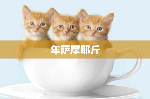 年薩摩耶斤