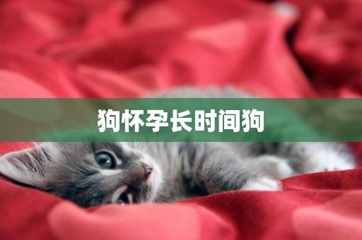 狗懷孕長時間狗