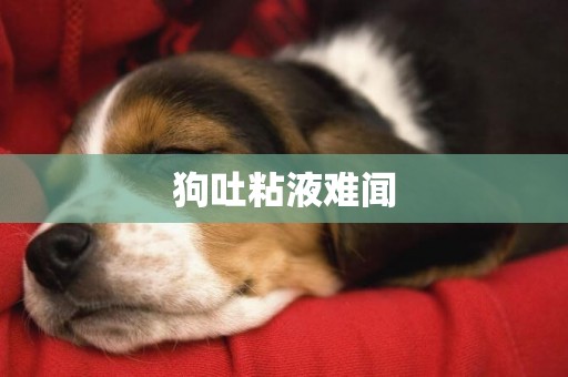 狗吐粘液難聞
