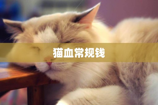貓血常規錢