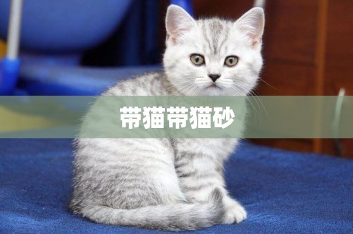 帶貓帶貓砂