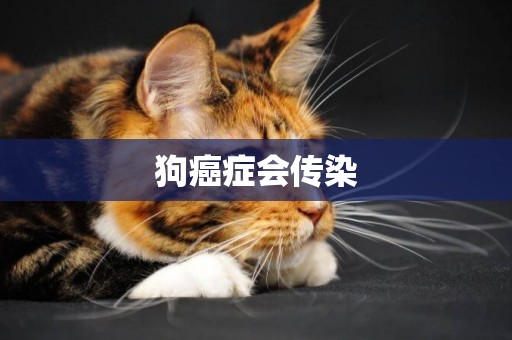 狗癌癥會傳染