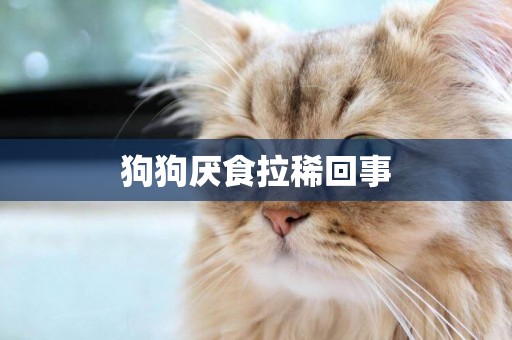 狗狗厭食拉稀回事