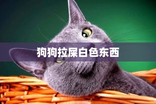 狗狗拉屎白色東西